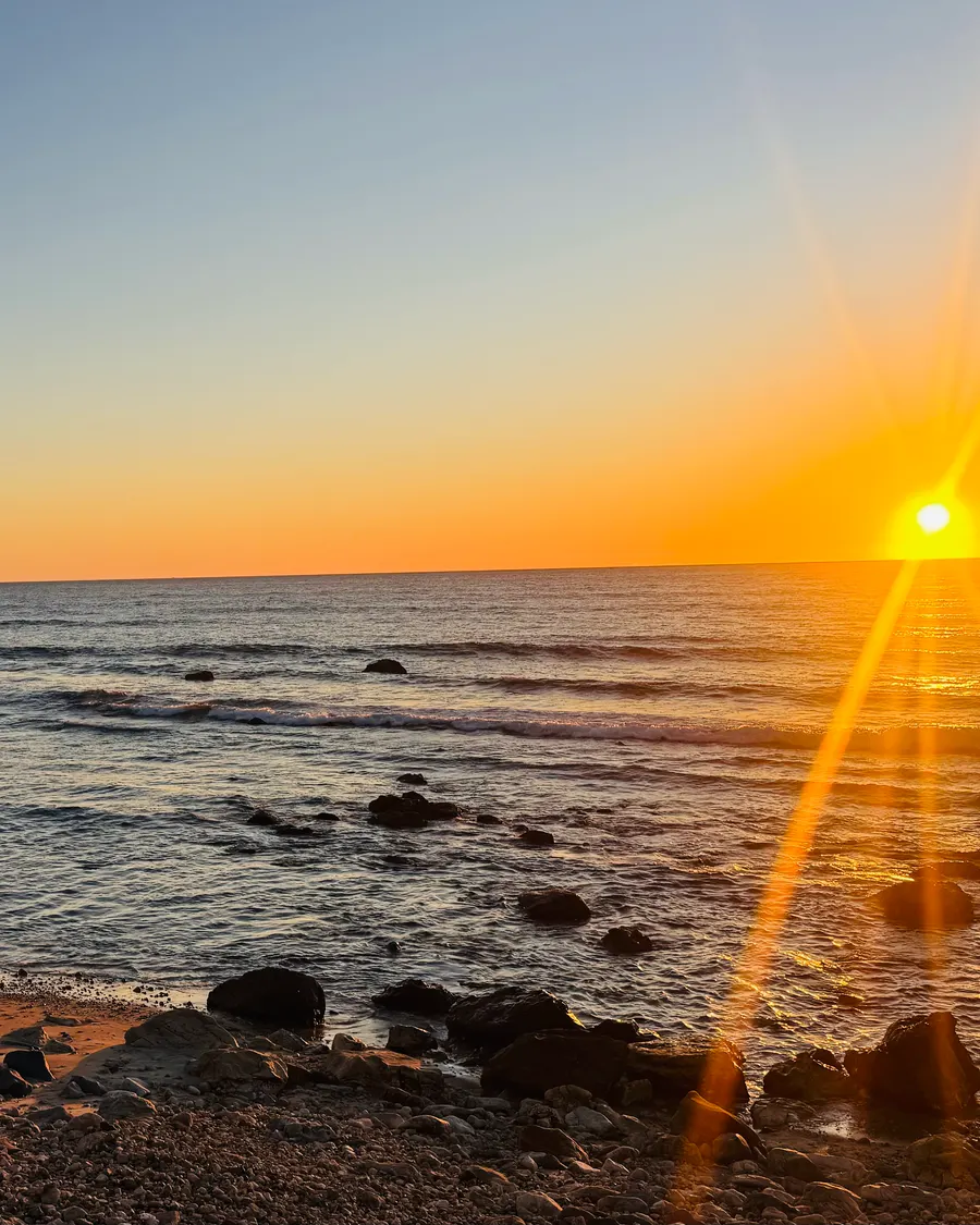 The shoreline at sunset during a turtle release, the sun flaring over the water