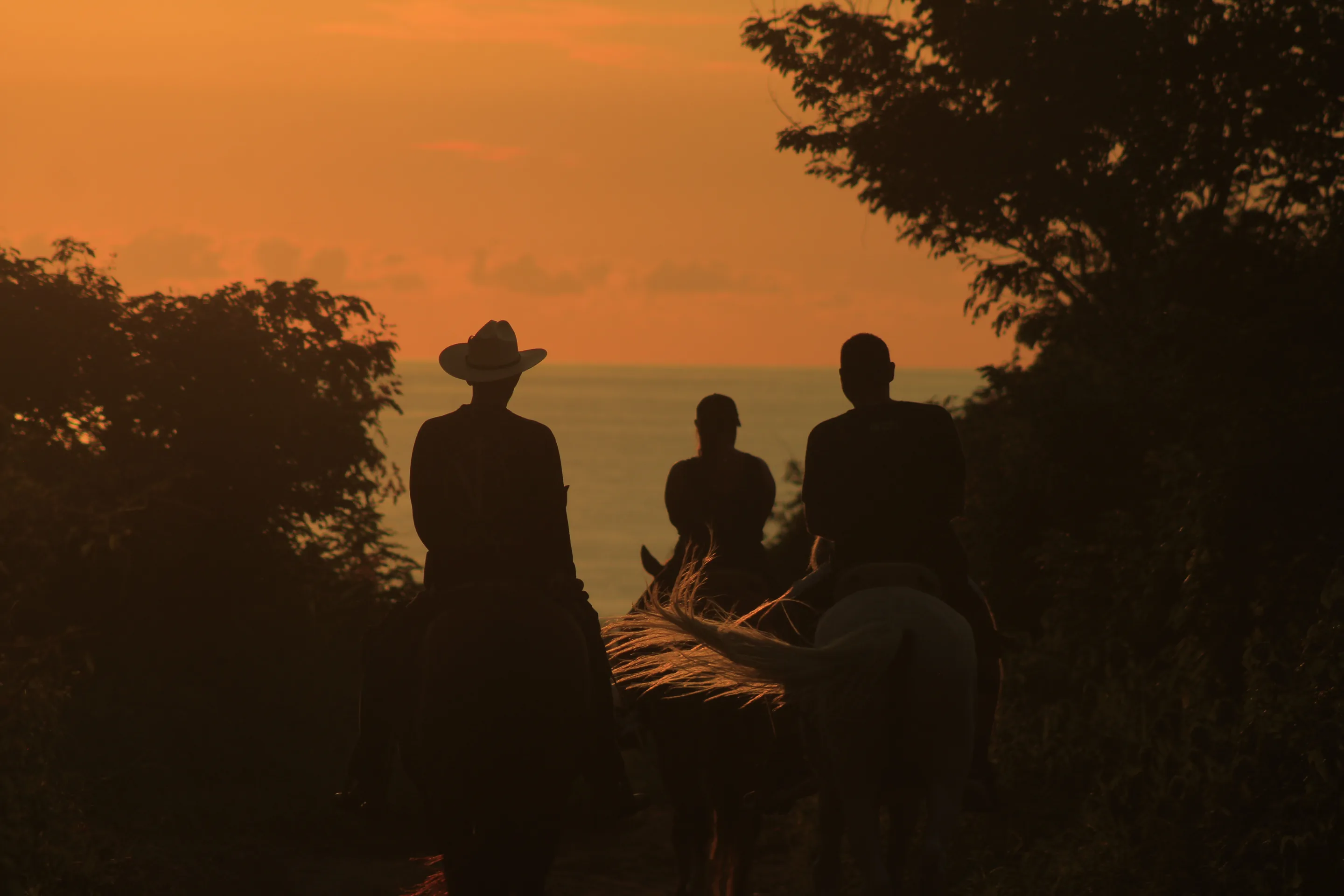 Three riders on horseback at sunset, silhouetted where the jungle trail opens to the Pacific